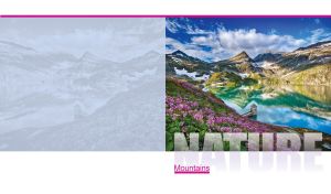 Lavenders on a slope to a mountain lake against the rocky mountain range