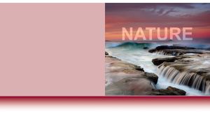 Seascape of a storm on a rocky shore at sunset on a pastel pink background