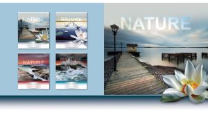 A white lotus on a walkway to a lonely boathouse on a pastel blue background