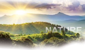 The sun in the pastel purple sky rises over trees in a green valley