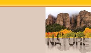 A mysterious motley autumn forest against the misty cliffs on a beige backdrop