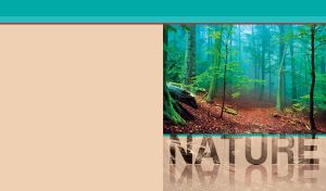 A green forest in the blue mysterious fog on a tan backdrop