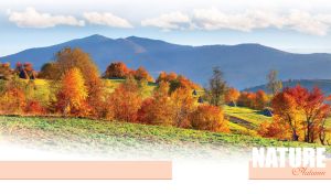 Autumn landscape of golden trees against a dark mountain range