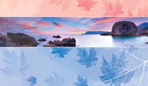 Maple Horizons | Stunning Landscapes Framed by Leafy Patterns