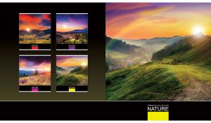 Rainbow over the country road to the green valley village at purple-gold dawn