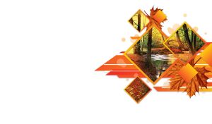 Scenic Layouts | Seasonal Landscapes in Fragmented Squares | On White