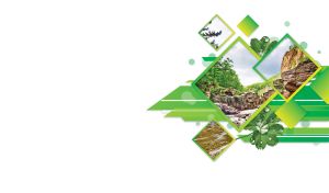 Greenery and rocks along the stream in a green square fragmented layout on white