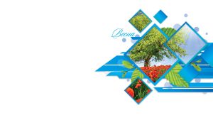 Spring field of red poppies in a blue square fragmented layout on white