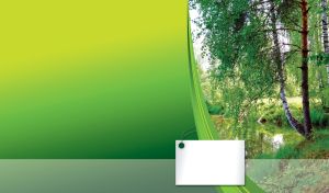 Green birches on a riverbank in a summer forest on green to yellow gradient