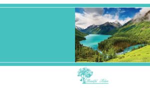 Beautiful Nature | Scenic Moments on Colorful & White Backdrops