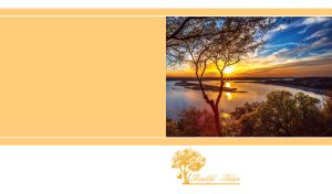 Winding rive in the golden sunset on white and yellow backdrop