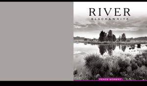Black and white monochrome of tall trees and reeds on the peaceful river bank