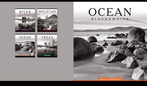 Black and white monochrome of round rocks on the seashore