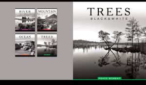 Black and white monochrome of trees reflected in the water of a calm river