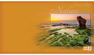 Feel the Nature | Moments in Colorful Dawn