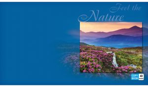 Pink wildflowers in a rocky valley at dawn on a royal blue background