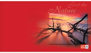 Bare fallen trees in the misty water at dawn on a red background