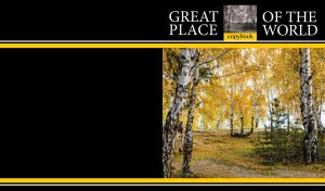 Yellow birches in an autumn forest on black