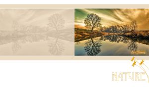 Trees by the river at a sepia-green dusk on pastel beige and white backdrop