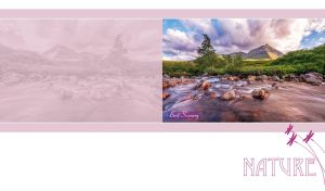 Rocky mountain creek on pastel pink and white backdrop