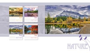 Pond bridge in a coniferous forest on pastel gray and white backdrop