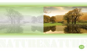 House, trees and mountains reflected in a pond on pastel green and white