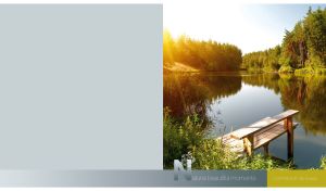 Wooden dock in the calm forest lake in the morning light on pastel gray