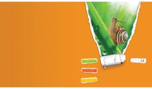 Snail on a blade of a grass behind an orange torn paper window