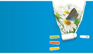 Butterfly on a white daisy behind a blue torn paper window