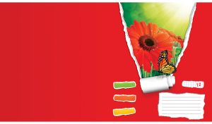 Monarch butterfly and red gerbera behind a red torn paper window