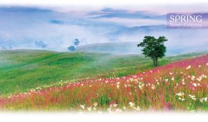 Spring blooming green valley in the pastel blue morning haze