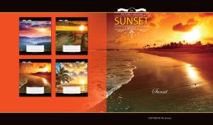 Sunset on a sandy coastal line against red and black background