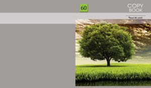 Travel the World | NatureScape Scenes on Gray