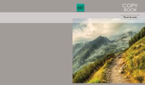 A dirt-road on the edge of a mountain chasm on a gray backdrop