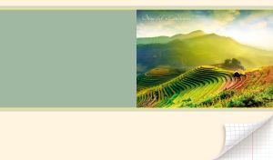 Rural mountainous landscape of a green rice terrace in the daylight in Vietnam