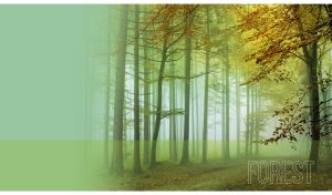 Hazy autumn forest road on a blurry pastel green background