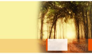 Hazy summer forest in the sunrise on a blurry pastel yellow background