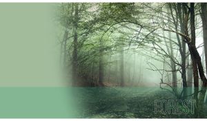 Forest road in haze against pastel green backdrop