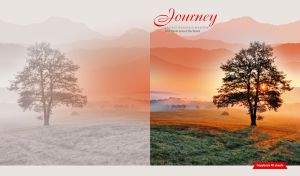 Lone tree in the mountain meadow in pastel white and orange hues