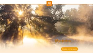 Man on the foggy bank of a mysterious lake in the rays of dawn