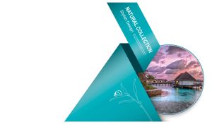 Seascape of overwater bungalows in a round frame with a teal ribbon on white