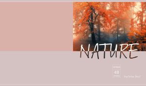 Fiery gold mysterious autumn forest isolated on pastel pink and grey