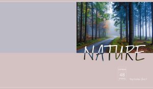 Mysterious road in a foggy forest isolated on pastel blue and pink