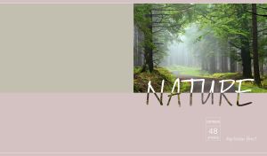 Mysterious winding road in a foggy forest isolated on pastel green and pink