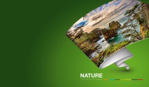 Rocky coastline on an unwound roll of wallpaper against a green gradient