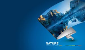 An abandoned mountain lake on an unwound roll of wallpaper against a navy gradient