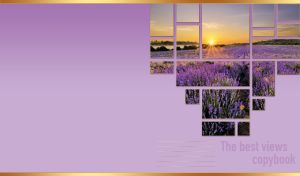 Lavender field outside multi-pane window on a pastel purple wallpaper