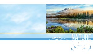 Perfect Reflections | Nature's Mirrored Waterscapes at Dawn & Dusk | on Pastel & White