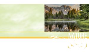 Rocky mountains and fir forest reflected in a hazy river at dawn