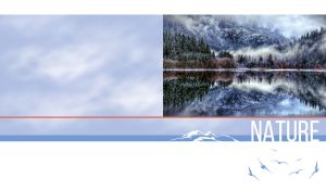 Foggy spruce mountain forest reflected in a winter lake in the evening